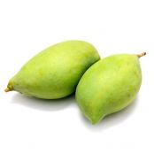 Totapuri Mango