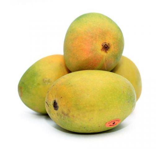 Alphonso Mango