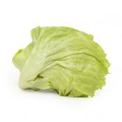 Lettuce - Iceberg
