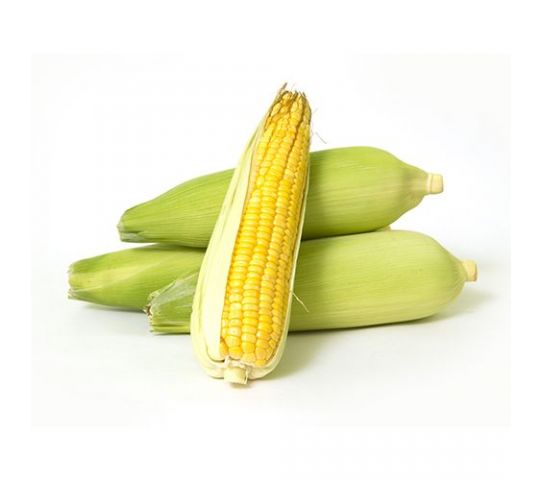 Sweet Corn